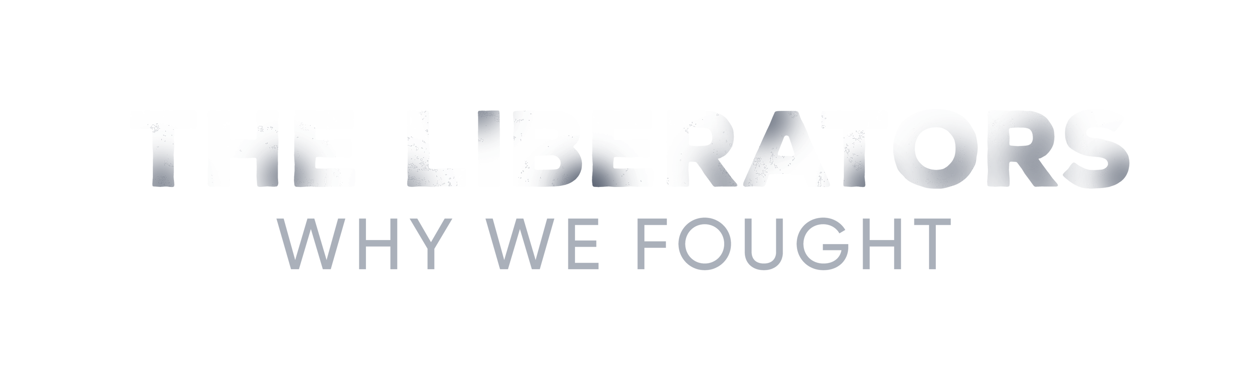 The Liberators - Why We Fought