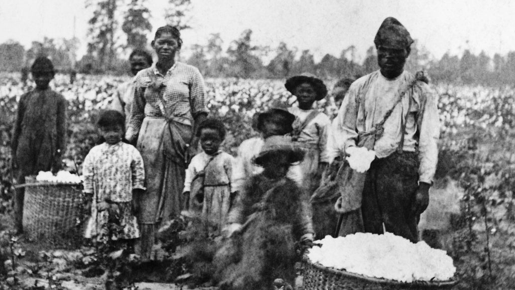 How Slavery Became the Economic Engine of the South