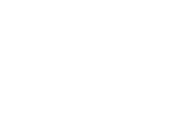 The Toys That Built America