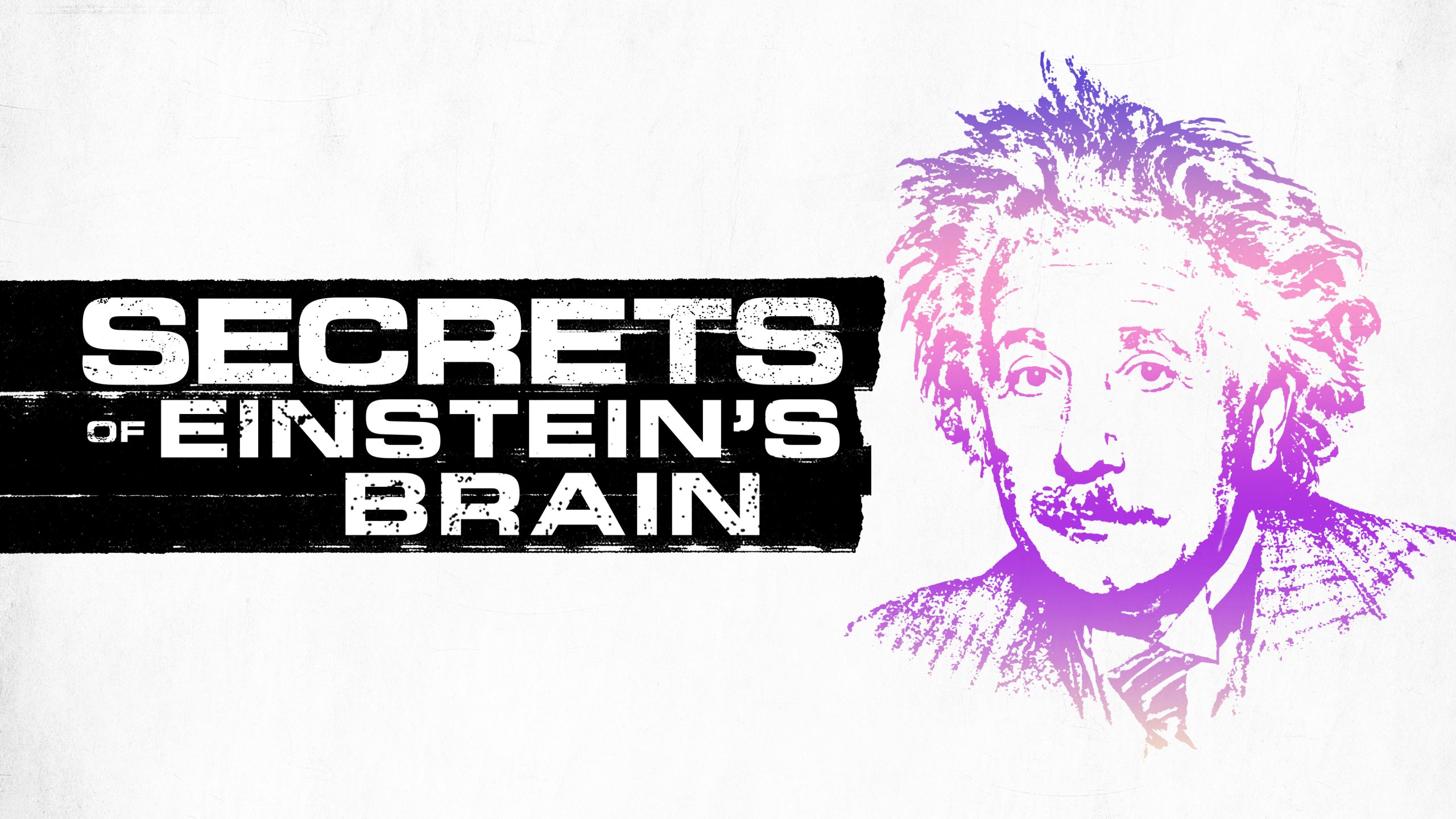 Secrets of Einstein's Brain