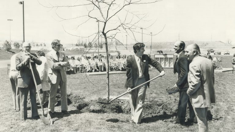 History of Arbor Day