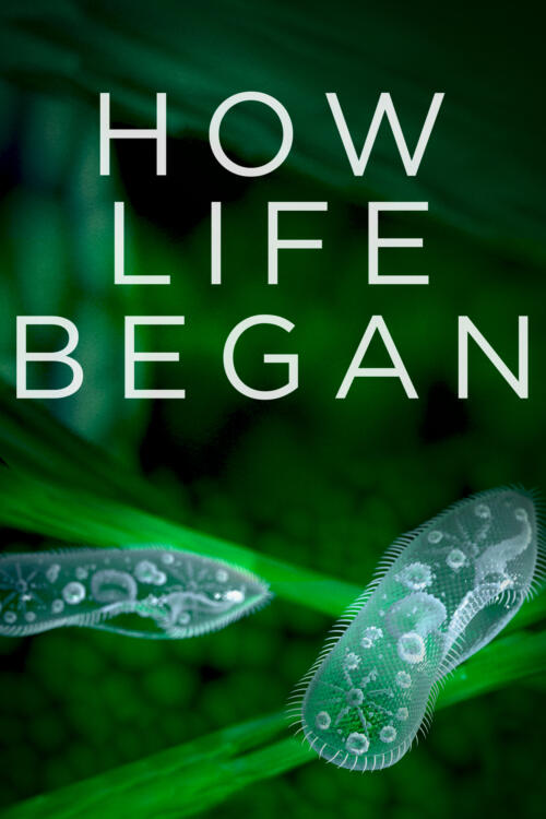 How Life Began