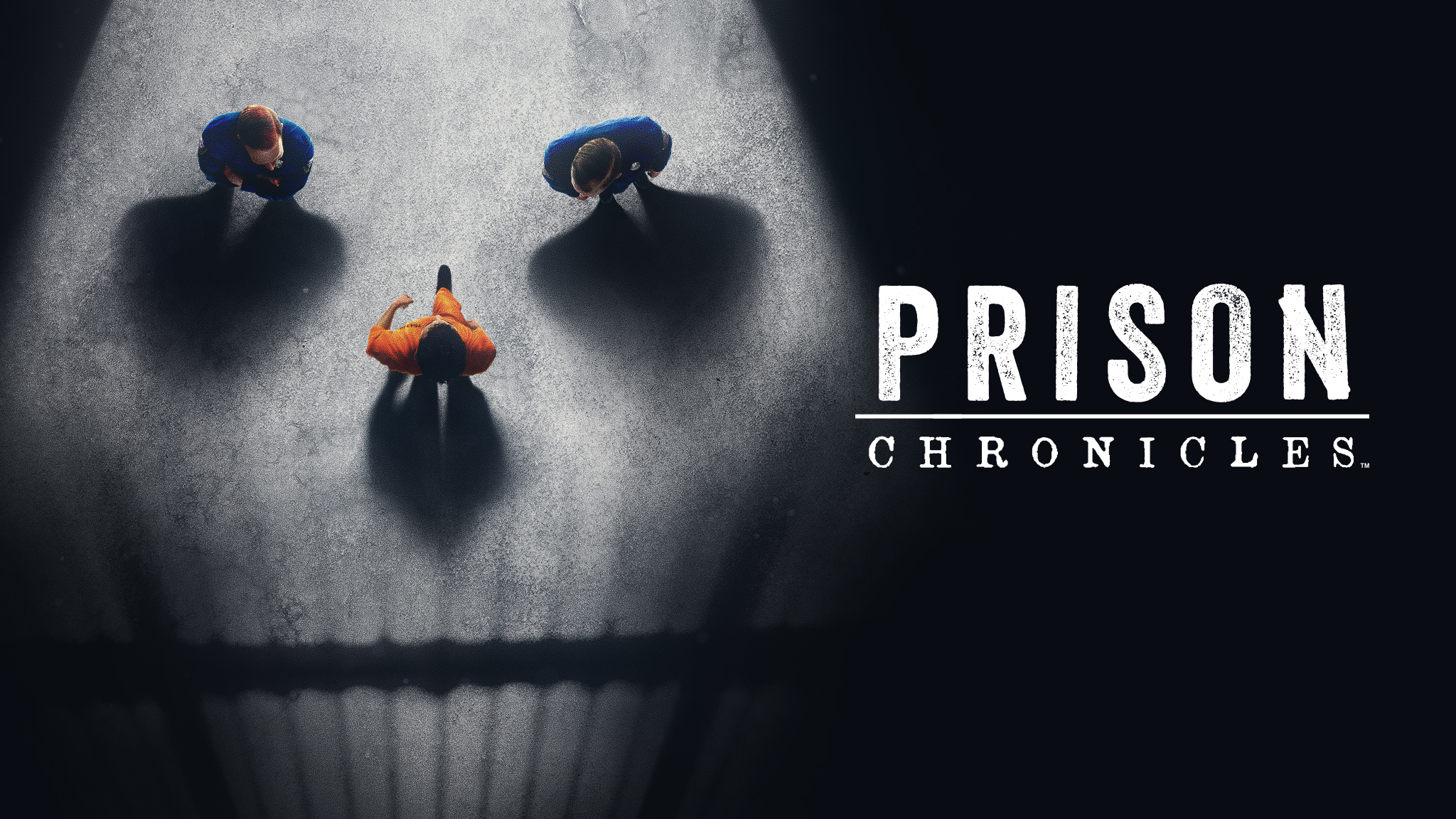 Prison Chronicles