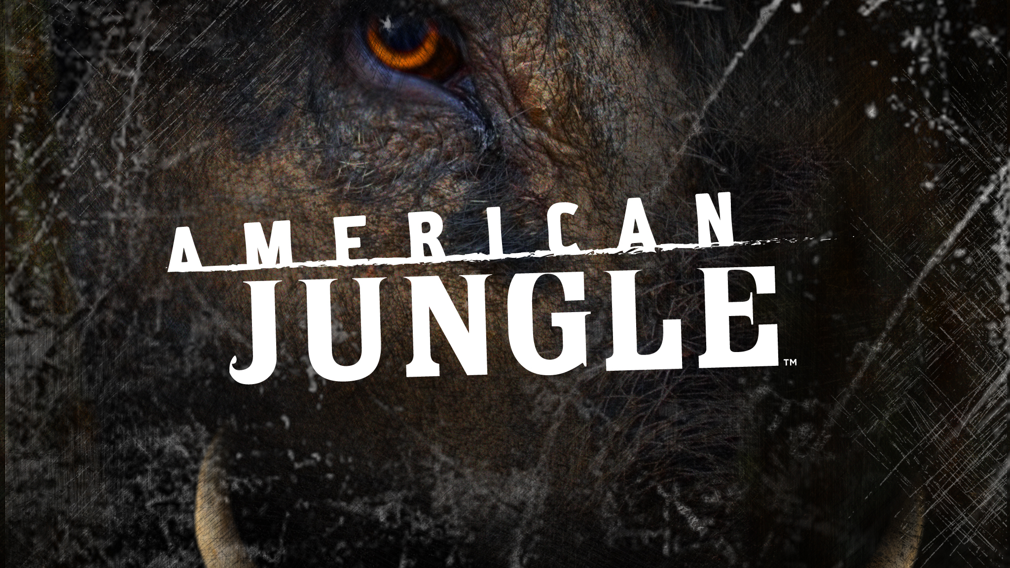 American Jungle