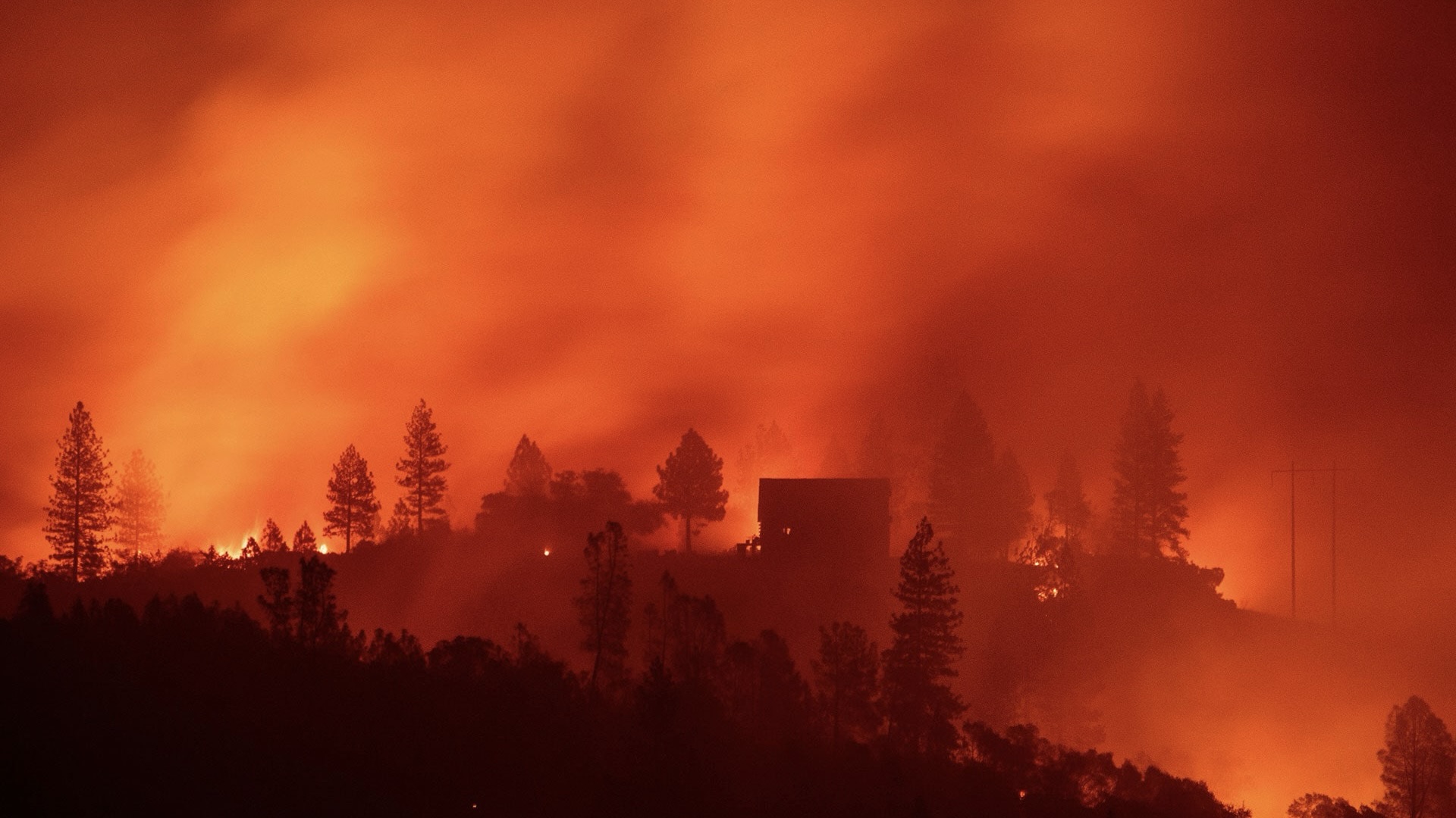 The 5 Deadliest Wildfires in America