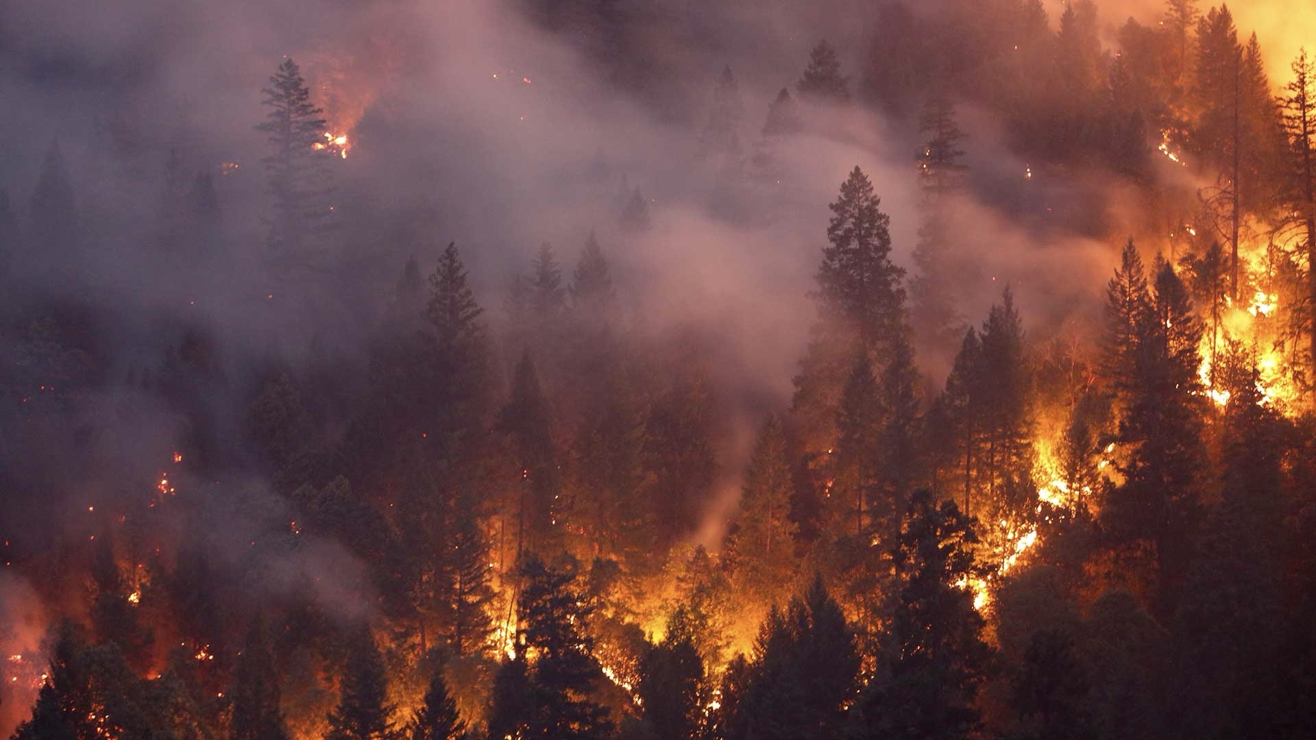 How the Great Fire of 1910 Changed How the US Fought Wildfires