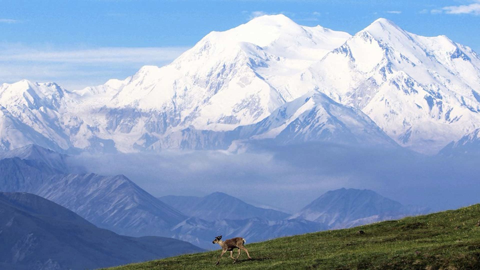 Why the Name of Alaska’s Peak Changed From Mt. McKinley to Denali