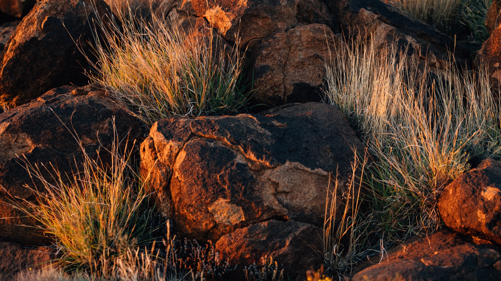 A photo of desert rocks