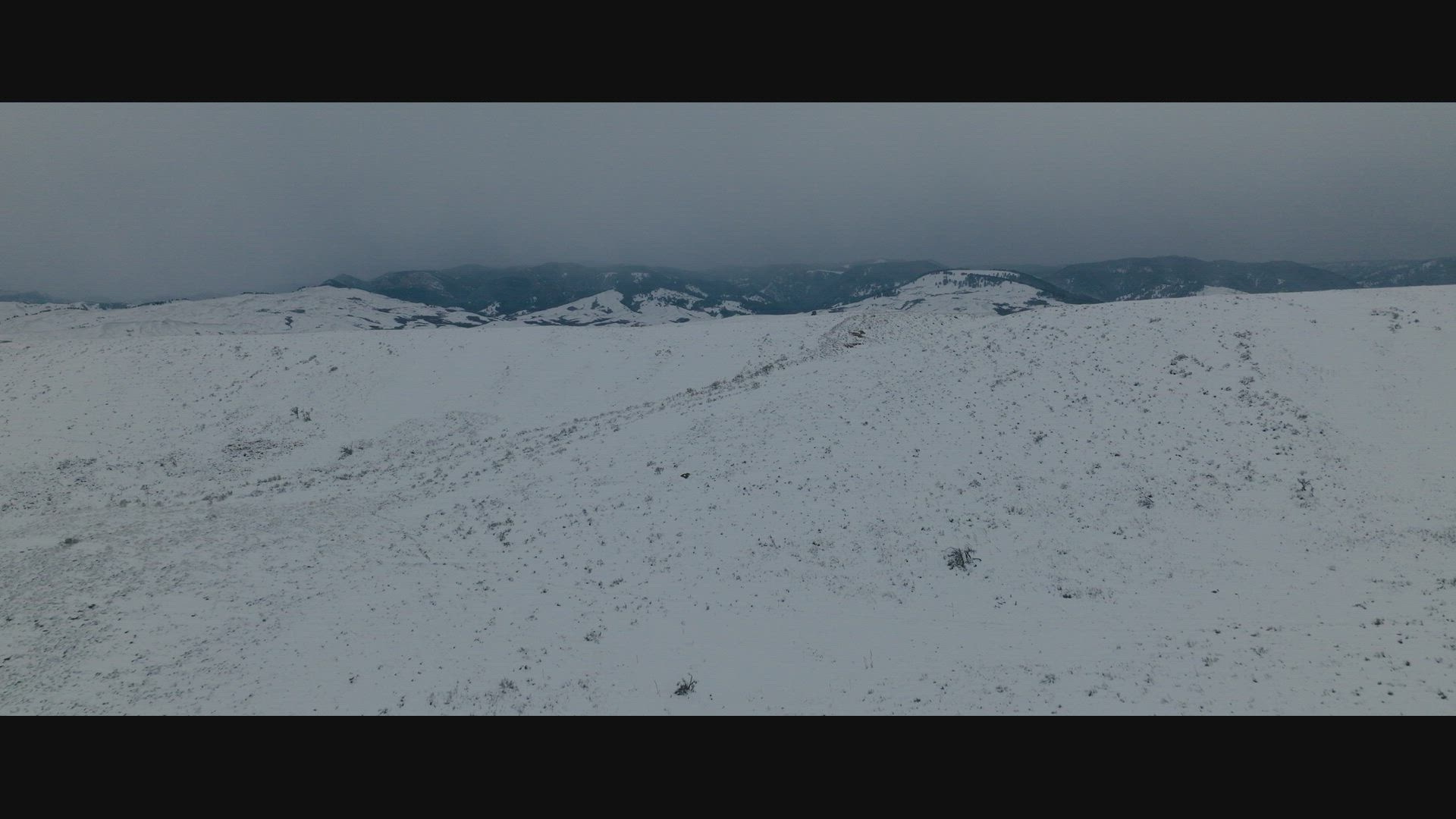 a snowy field
