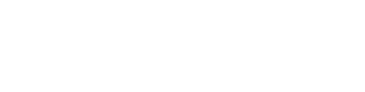 Barrett-Jackson Auction