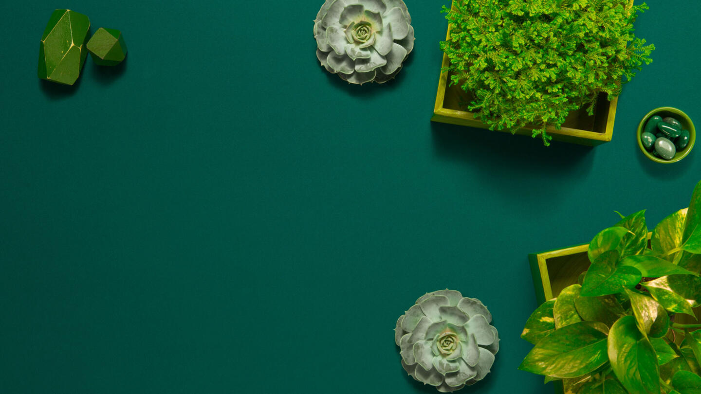 HomeGrown Makeover with Frederique and Carter
