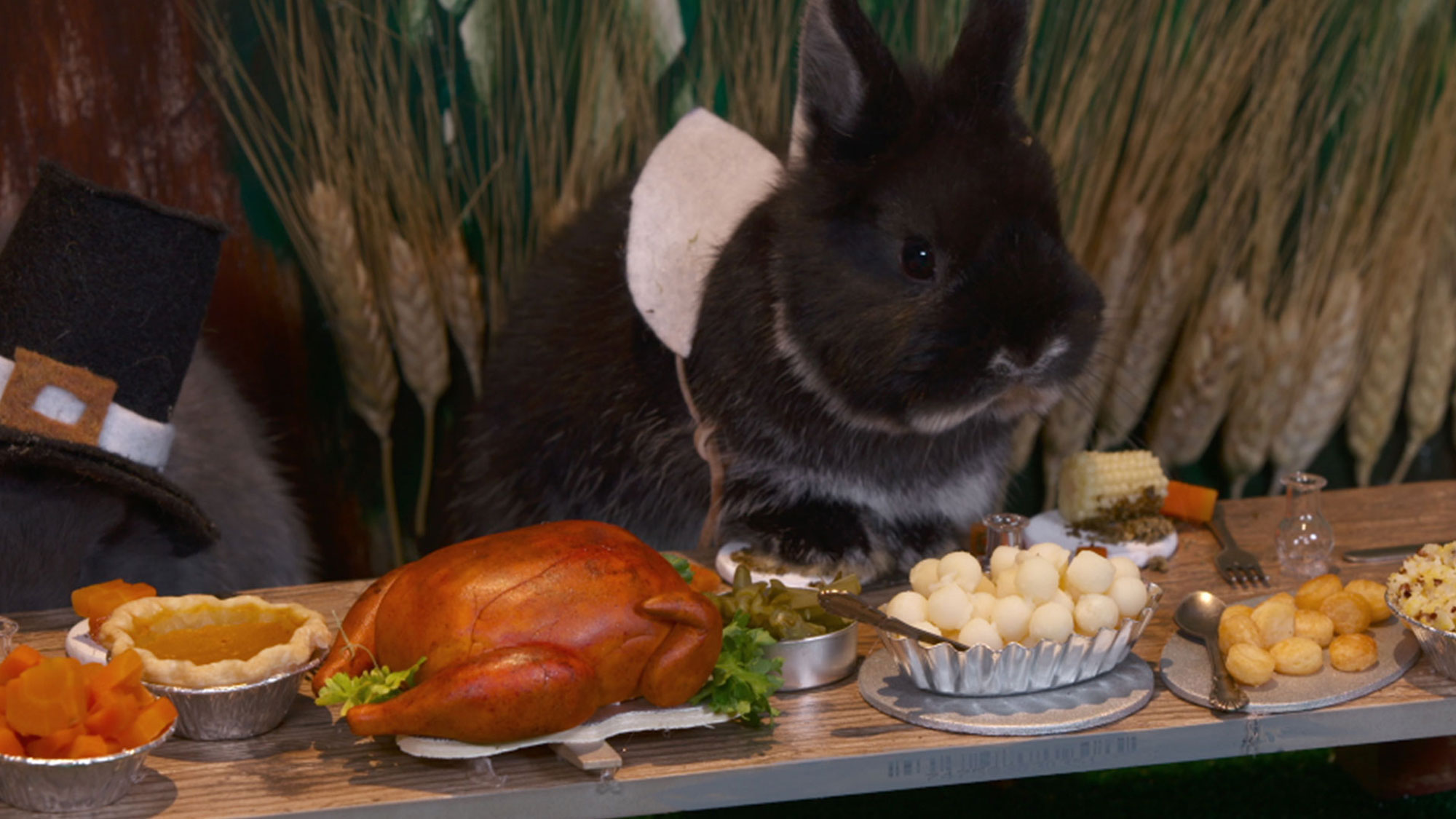 The Story of the First (Bunny) Thanksgiving