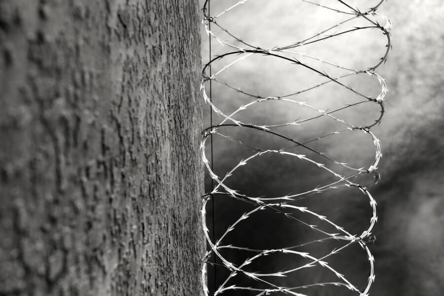 The prison walls at PNM