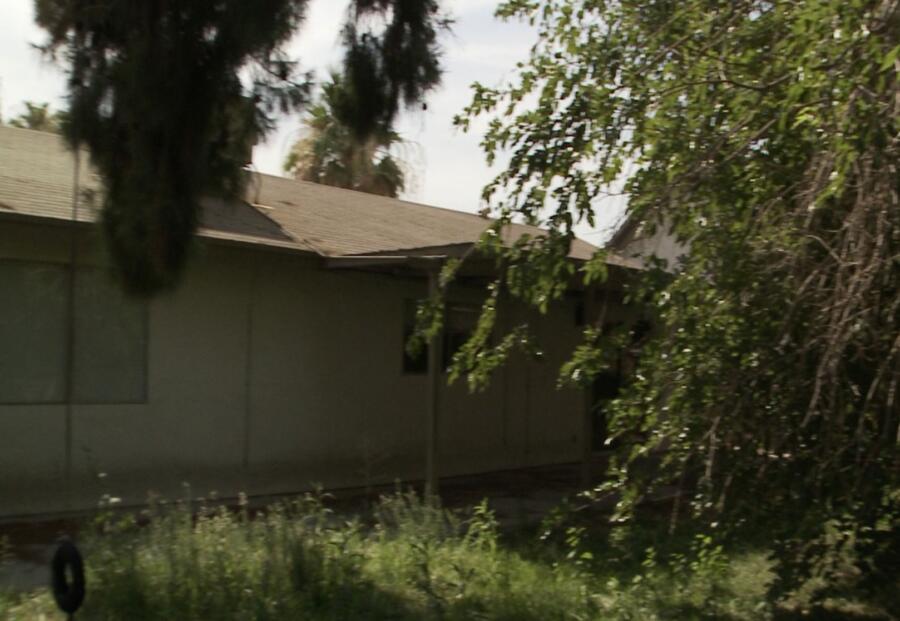 This overgrown backyard needs help.