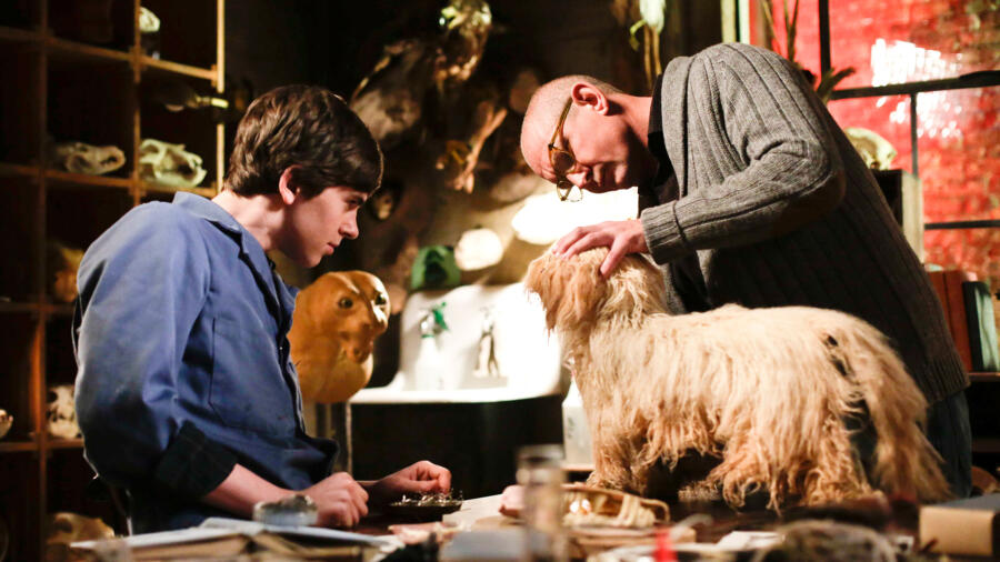 Norman and Will chat during taxidermy