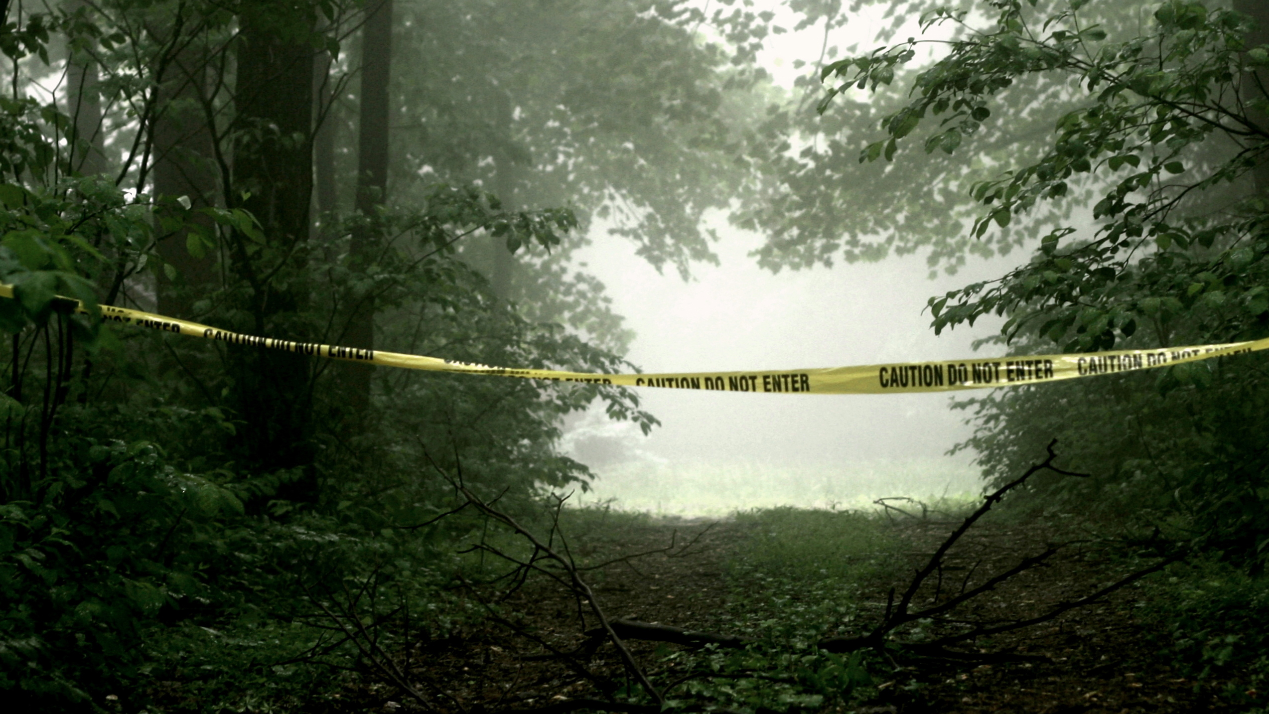 What Makes a Great Cold Case?