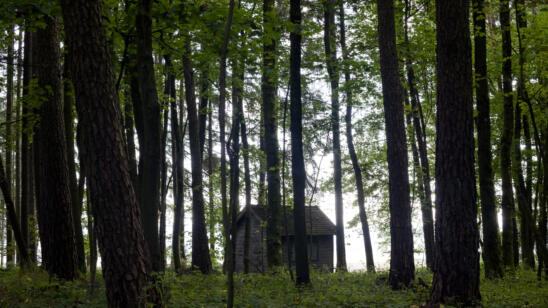 Bloodstained Book Club: 'The Marsh King's Daughter'