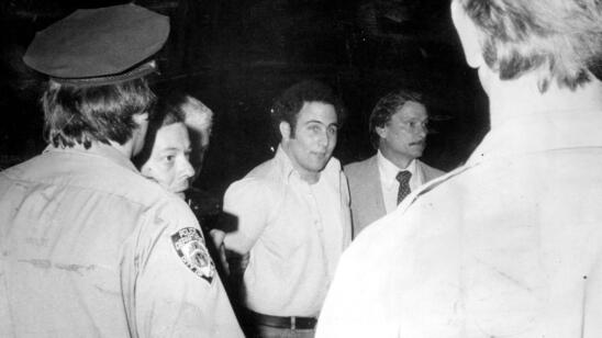 The Shocking Reason Serial Killer David Berkowitz Targeted Women