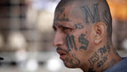 The MS 13 Gang Destroying A New York Village s Sense Of Community A 
