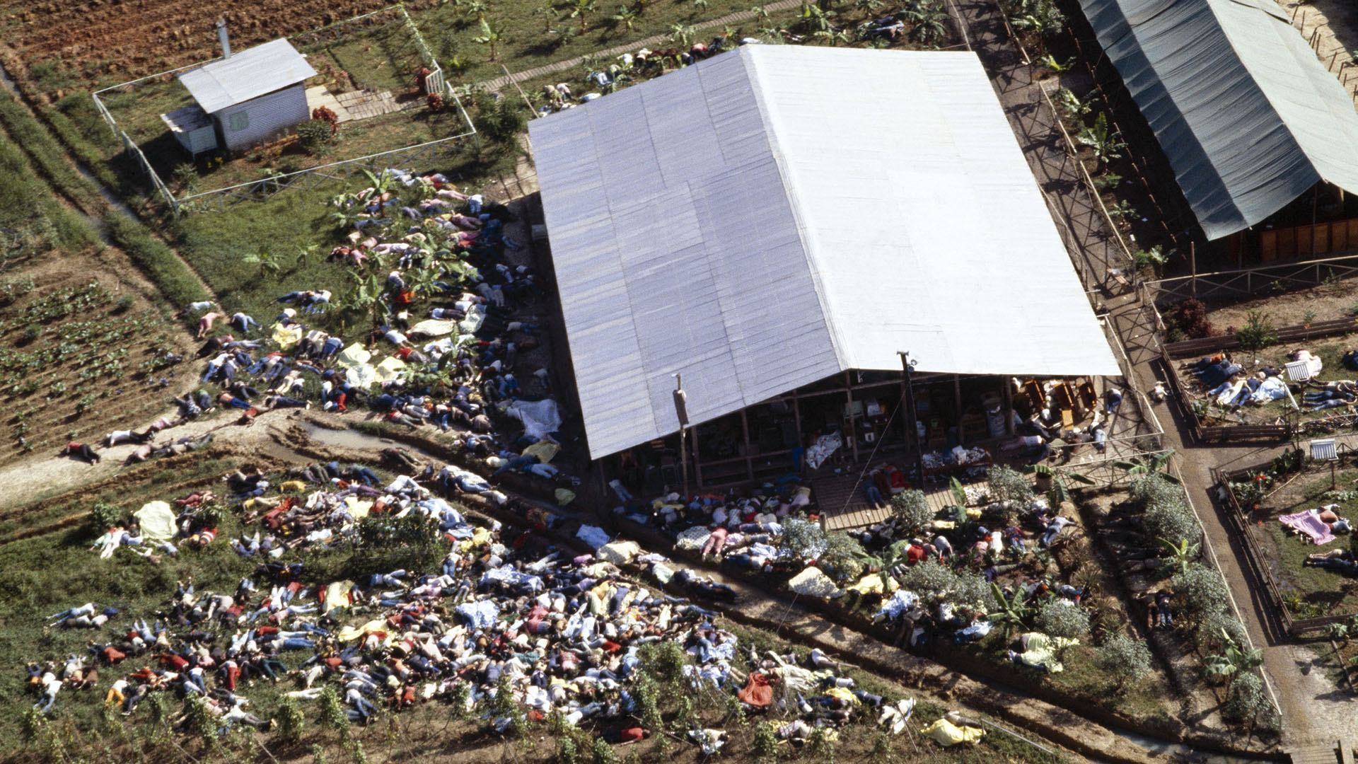 Was Jonestown a Mass Suicide or a Mass Murder?
