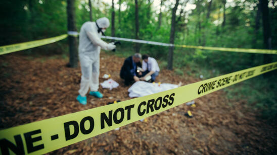Why It's OK to Leave Dead Bodies in the Woods, and Other Strategies for Not Messing Up A Crime Scene