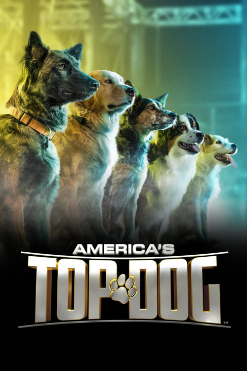 America's Top Dog