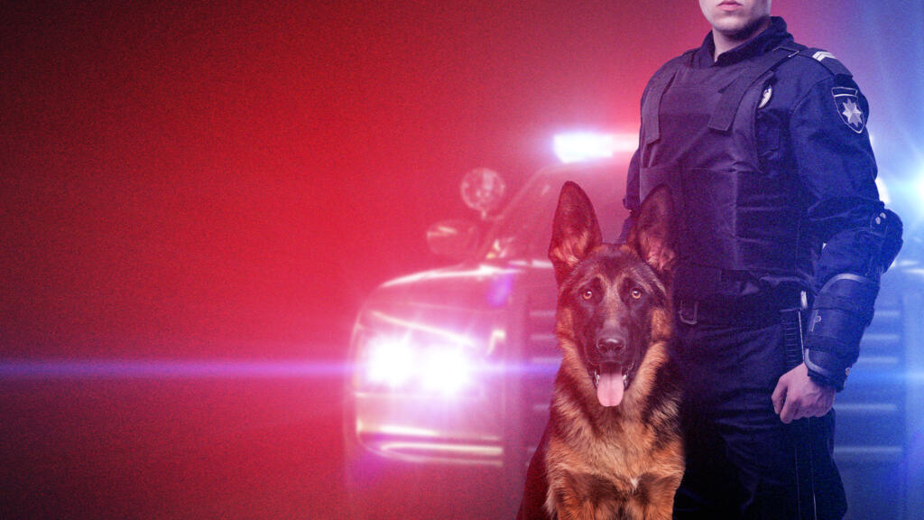 Live PD: K9 Patrol