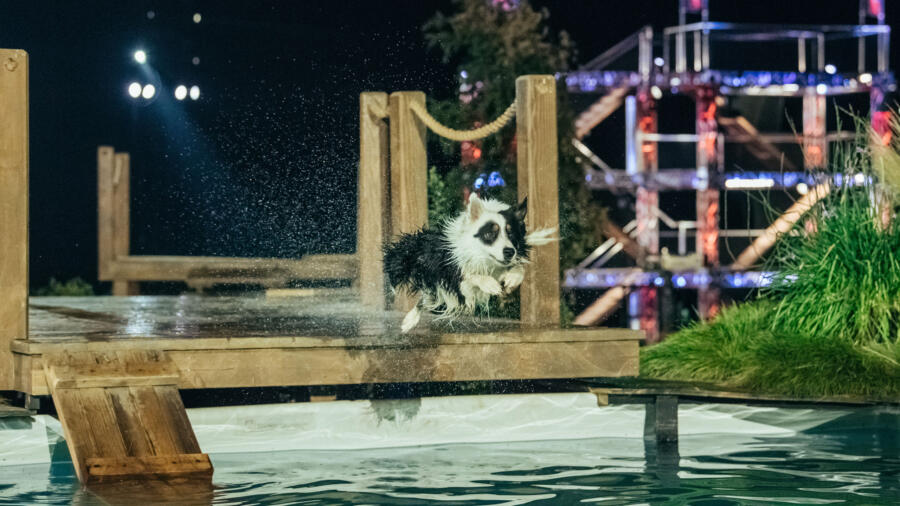 Maker jumps into the Splashdown pool