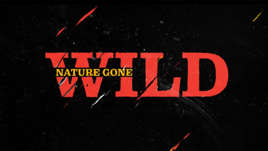 A&E Announces New Series 'Nature Gone Wild'