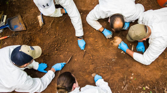 What Motivates People to Donate Their Bodies to a Body Farm?