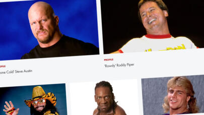 More WWE on Biography