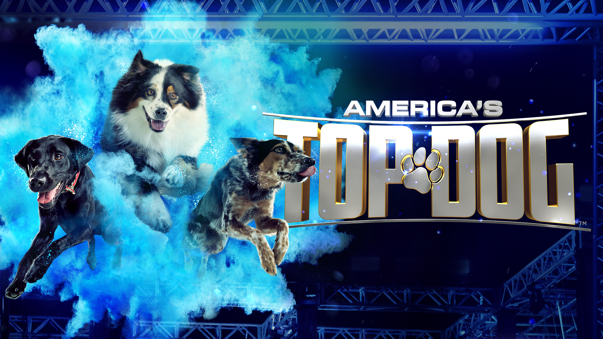 Watch America's Top Dog Video & | A&E