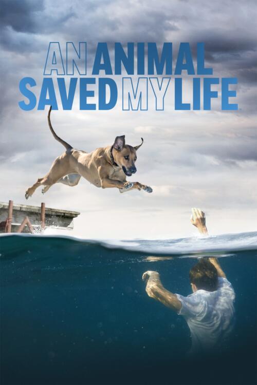 An Animal Saved My Life