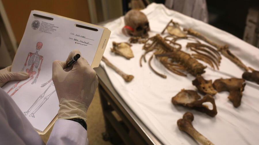Forensic anthropologist