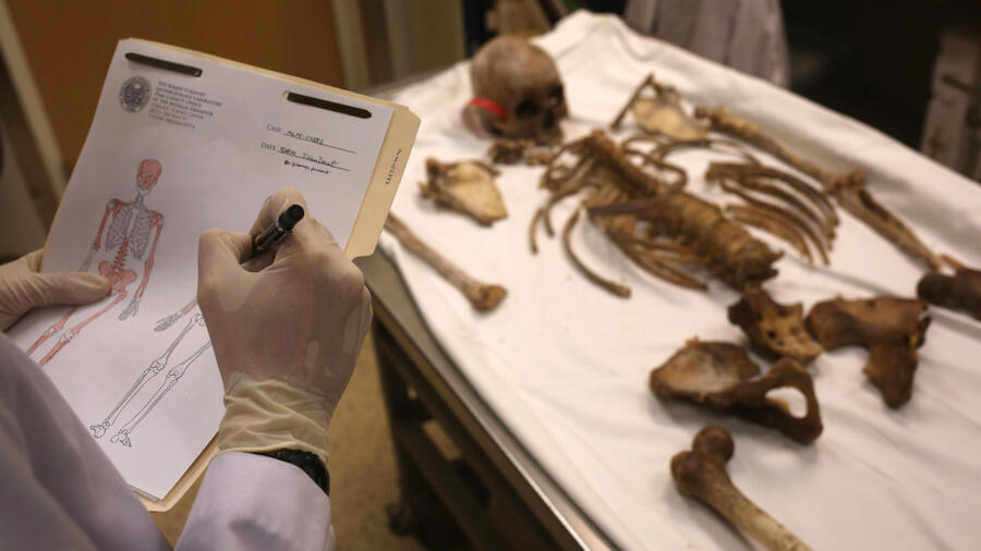 forensic anthropology research