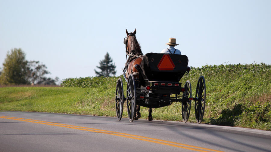 Amish horse pulling a cart near Lancaster, Pennsylvania