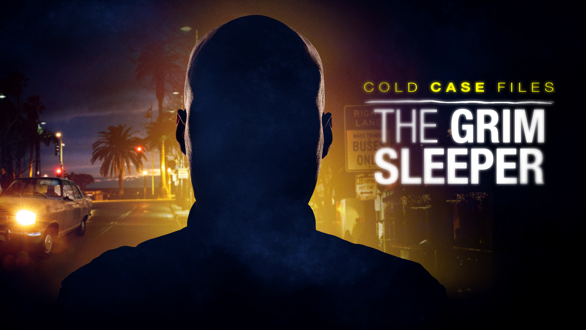 Cold Case Files: The Grim Sleeper