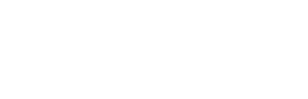 Homicide Squad New Orleans