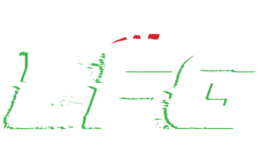 WWE LFG