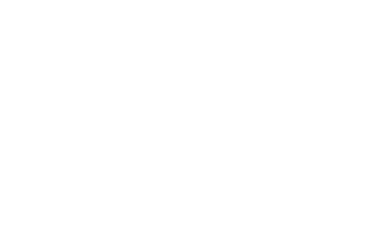 Bully Hunter