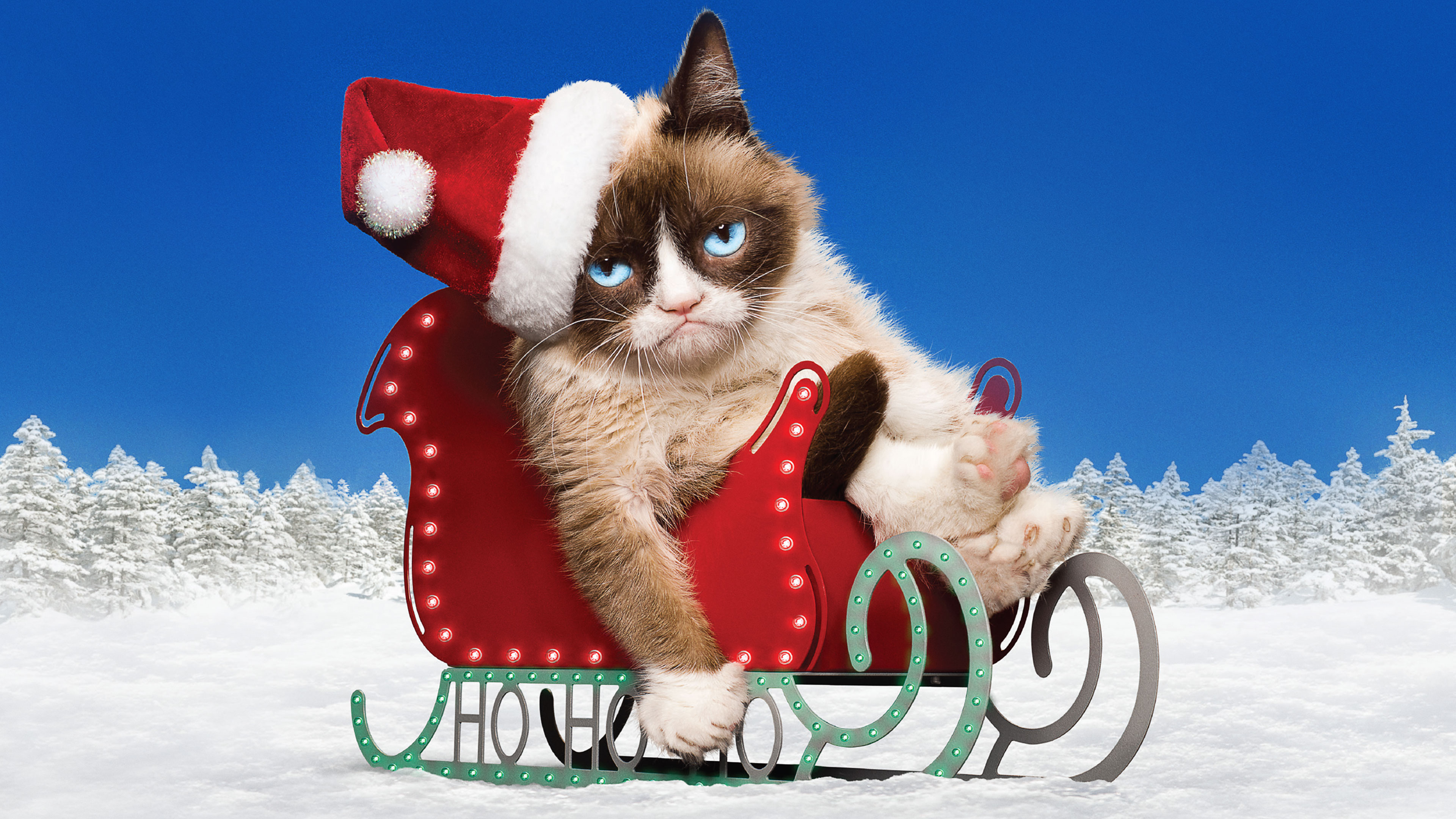 Grumpy Cat's Worst Christmas Ever