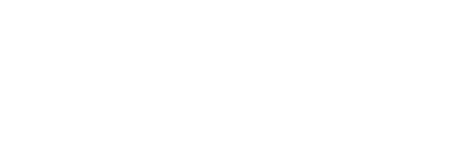 The Christmas Consultant