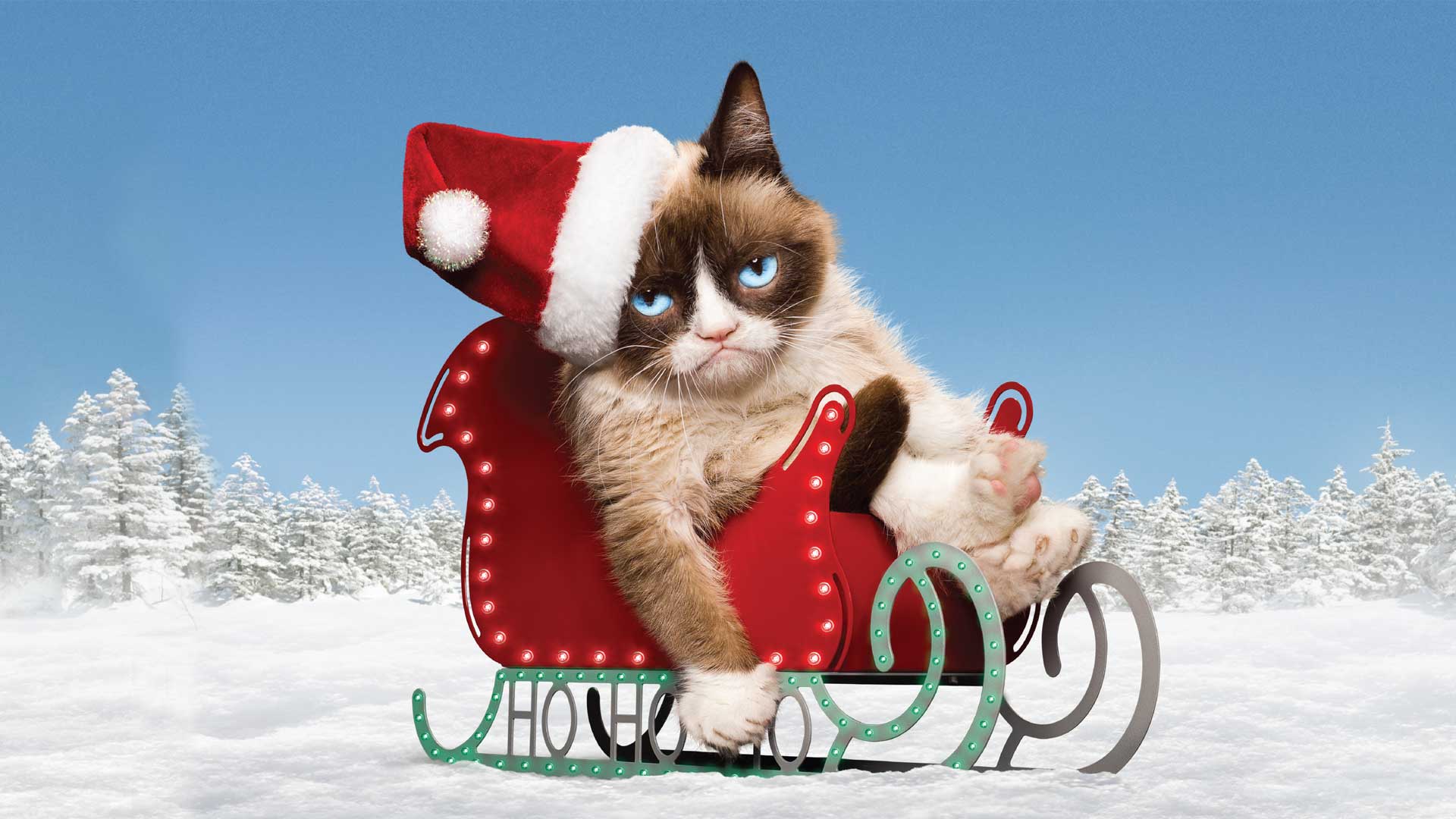 Watch Grumpy Cat's Worst Christmas Ever Lifetime