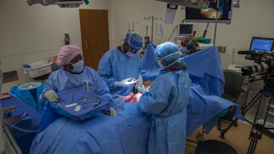 Atlanta Plastic Season 1