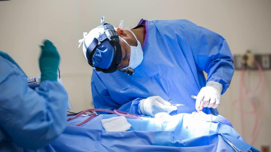 Atlanta Plastic Season 1