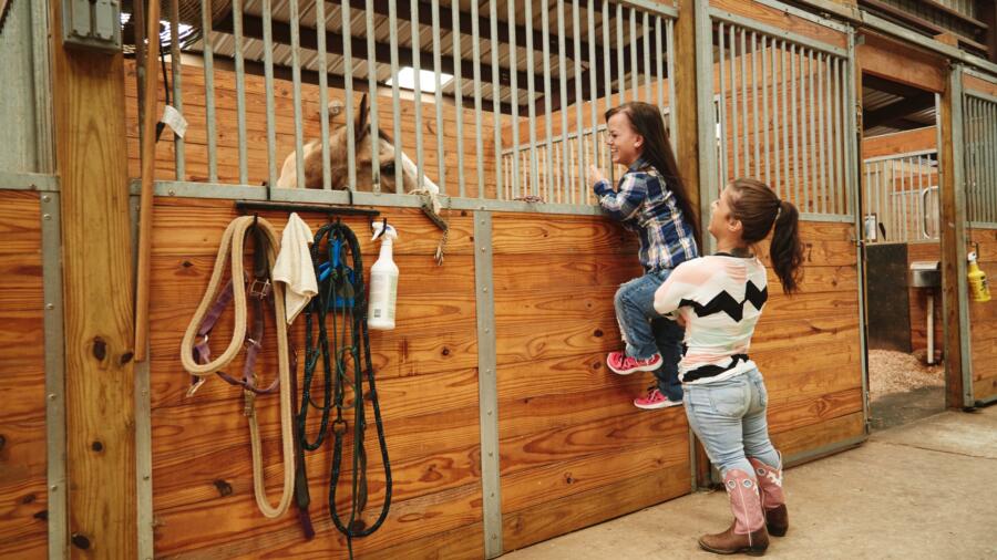 Little Women: Atlanta Season 1