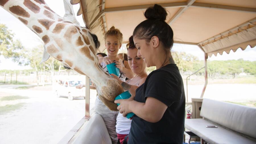 Little Women: Dallas Season 1