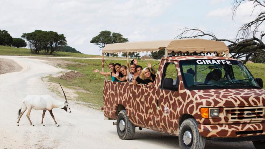 Little Women: Dallas Season 1