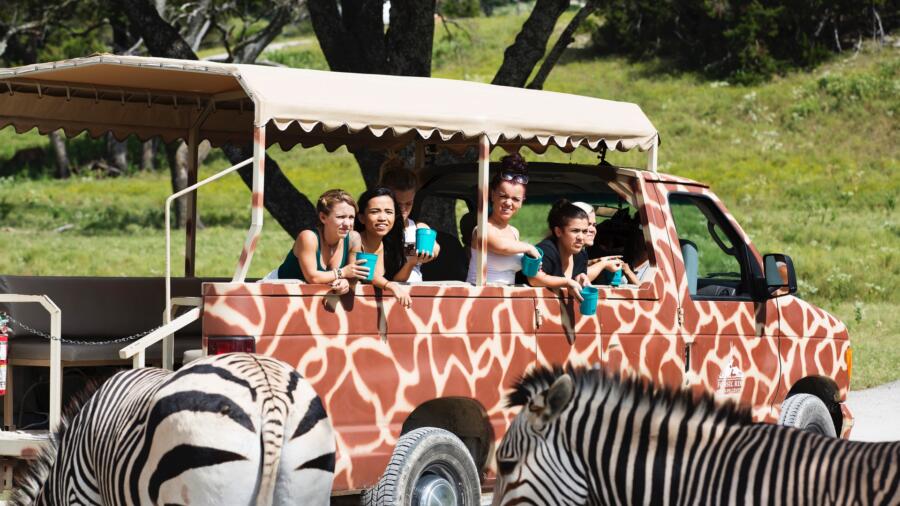 Little Women: Dallas Season 1