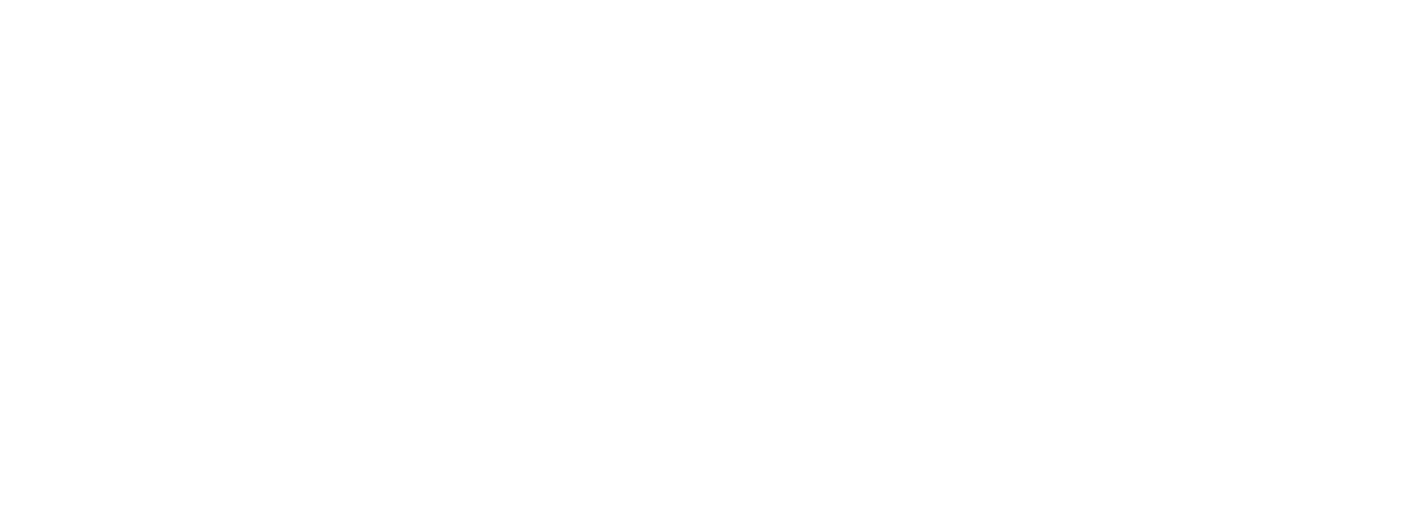 The Wrong House